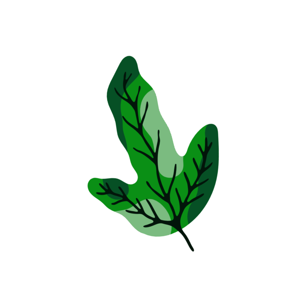 Instagram Post (5).png